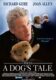 Hachi: A Dog's Tale